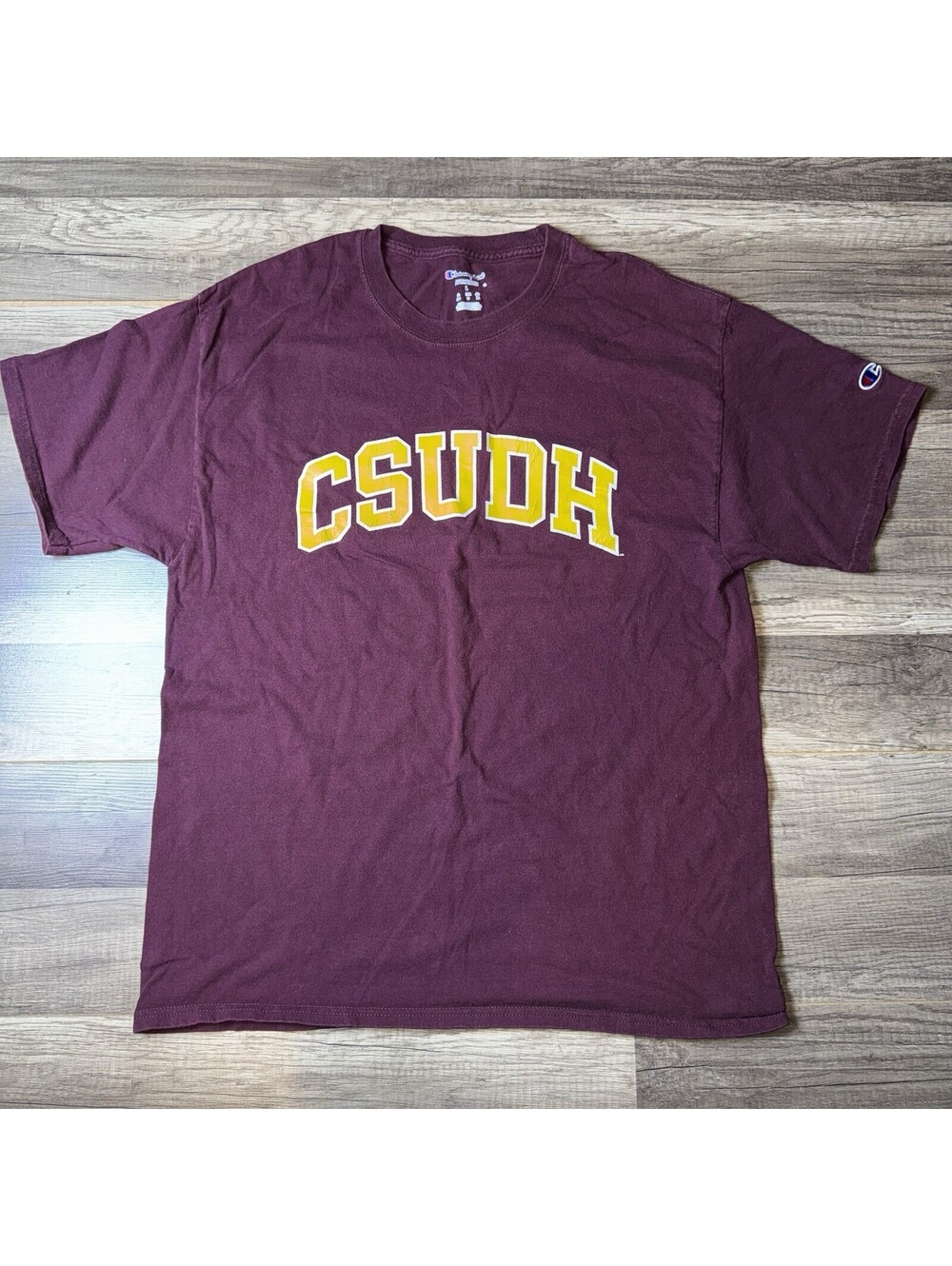 Champion California State Dominguez Hills Toros Shirt Size Large CSUDH - Picture 1 of 5